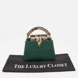 مملوكة مسبقًا Louis Vuitton Green/Beige Leather and Python Capucines Mini Bag