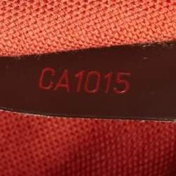 Pre Owned Louis Vuitton Damier Ebene Canvas Ribera MM Bag