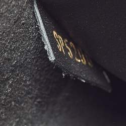 Louis Vuitton Monogram Reverse Canvas Dauphine Wallet on Chain