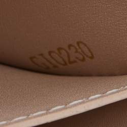 Louis Vuitton Monogram Canvas Essential Trunk NM Chain Bag