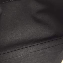 Pre Owned Louis Vuitton Monogram Canvas and Leather Daily Pouch