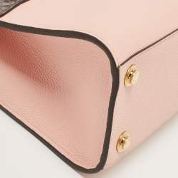 Louis Vuitton Pink/Cream Taurillon Leather and Python City Steamer Mini Bag