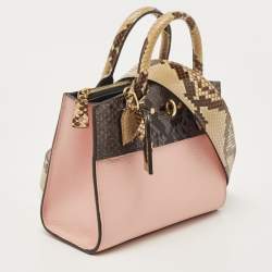 Louis Vuitton Pink/Cream Taurillon Leather and Python City Steamer Mini Bag