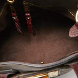 Pre Owned Louis Vuitton Monogram Canvas and Python Limited Edition Etoile Exotique MM Bag