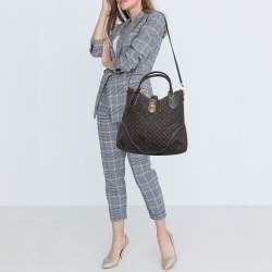Pre Owned Louis Vuitton Fusain Monogram Idylle Canvas Elegie Bag