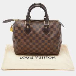 Pre Owned Louis Vuitton Damier Ebene Canvas Speedy 25 Bag