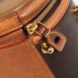 Pre Owned Louis Vuitton Monogram Giant Canvas Cannes Bag