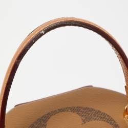 Pre Owned Louis Vuitton Monogram Giant Canvas Cannes Bag
