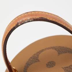 Pre Owned Louis Vuitton Monogram Giant Canvas Cannes Bag