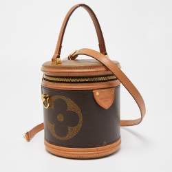 Pre Owned Louis Vuitton Monogram Giant Canvas Cannes Bag