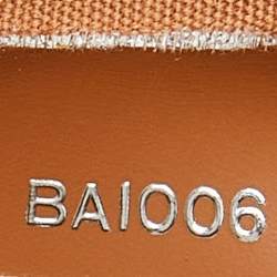 مملوكة مسبقًا حقيبة لوي فيتون باسي جلد إيبي كاسيس PM