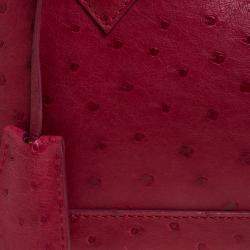 مملوكة مسبقًا Louis Vuitton Jaipur Ostrich Alma BB Bag