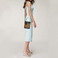 Pre Owned Louis Vuitton Monogram and Reverse Monogram Canvas Cannes Bag