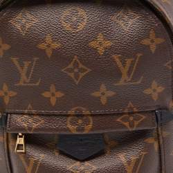 Pre Owned Louis Vuitton Monogram Canvas Palm Springs Mini Backpack