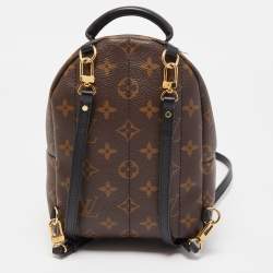 Pre Owned Louis Vuitton Monogram Canvas Palm Springs Mini Backpack