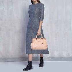 Pre Owned Louis Vuitton Poudre Ostrich Limited Edition Frame Speedy Bag