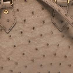 Pre Owned Louis Vuitton Grey Ostrich Alma BB Bag