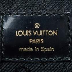 Pre Owned Louis Vuitton Brown Suede and Leather Havana Stamped Trunk GM Bag