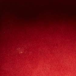 Pre Owned Louis Vuitton Damier Ebene Canvas Trevi PM Bag