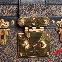 Pre Owned Louis Vuitton Monogram Canvas Petite Malle Bag