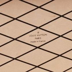 Pre Owned Louis Vuitton Monogram Canvas Petite Malle Bag