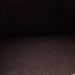 مملوكة مسبقًا حقيبة لوي فيتون ألما فيرنيه أمارانت مونوغرامي PM 