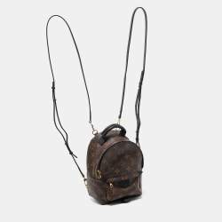 Pre Owned Louis Vuitton Monogram Canvas Mini Palm Springs Backpack