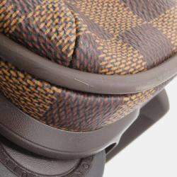 Pre Owned Louis Vuitton Brown Damier Ebene Canvas Monogram Neo Eole 65 Bag