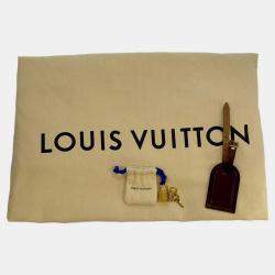 Pre Owned Louis Vuitton Brown Damier Ebene Canvas Monogram Neo Eole 65 Bag
