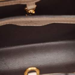 Pre Owned Louis Vuitton Galet Taurillon Leather and Python Capucines BB Bag