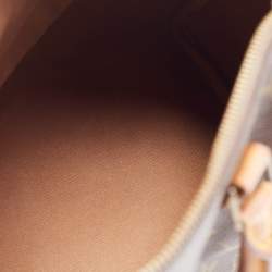 Louis Vuitton Brown Monogram Canvas Speedy 25 Handbag