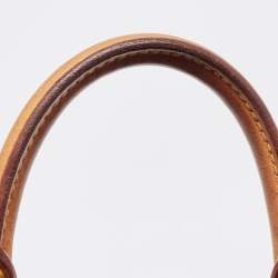 Louis Vuitton Brown Monogram Canvas Speedy 25 Handbag