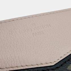 Pre Owned Louis Vuitton Monogram Daily Clutch