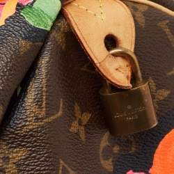 Pre Owned Louis Vuitton Multicolor Monogram Canvas Limited Edition Stephen Sprouse Roses Speedy 30 Bag