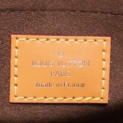 مملوكة مسبقًا Louis Vuitton Gold Honey Epi Leather Mini Cluny Bag