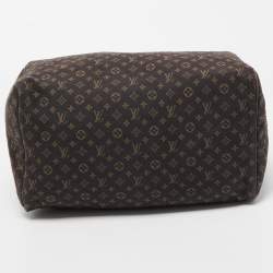 Pre Owned Louis Vuitton Fusain Monogram Mini Lin Canvas Speedy 30 Bag