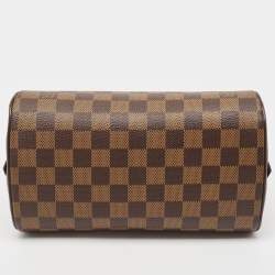 Pre Owned Louis Vuitton Damier Ebene Canvas Mini Ribera Bag