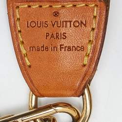 Pre Owned Louis Vuitton Monogram Canvas Eva Pochette Bag