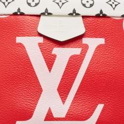 Pre Owned Louis Vuitton Multicolor Giant Monogram Canvas Bumbag