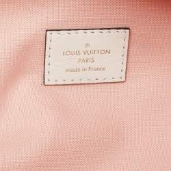 Pre Owned Louis Vuitton Multicolor Giant Monogram Canvas Bumbag