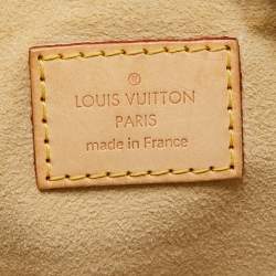 Pre Owned Louis Vuitton Monogram Canvas Limited Edition Stephen Bag