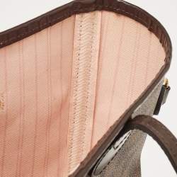 Louis Vuitton Damier Ebene Canvas Neverfull MM Bag