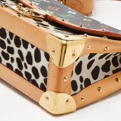 Pre Owned Louis Vuitton Multicolor Monogram Canvas Dalmatian Sac Rabat Bag