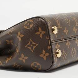 Pre Owned Louis Vuitton Monogram Canvas and Leather Cluny BB Bag