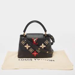 Pre Owned Louis Vuitton Black Taurillon Leather Limited Edition Applique Capucines PM Bag