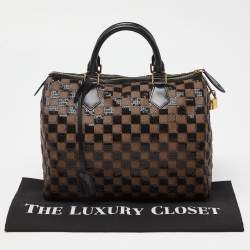 Pre Owned Louis Vuitton Damier Ebene and Sequins Paillettes Limited Edition Speedy 30 Bag