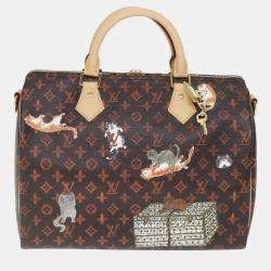 Louis Vuitton Canvas 30 Catogram Speedy Bandouliere Satchel