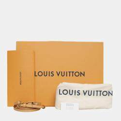 Louis vuitton Monogram Canvas Petite Boite Chapeau Bag