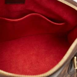 Pre Owned Louis Vuitton Damier Ebene Canvas Trevi PM Bag