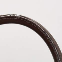 Pre Owned Louis Vuitton Damier Ebene Canvas Trevi PM Bag